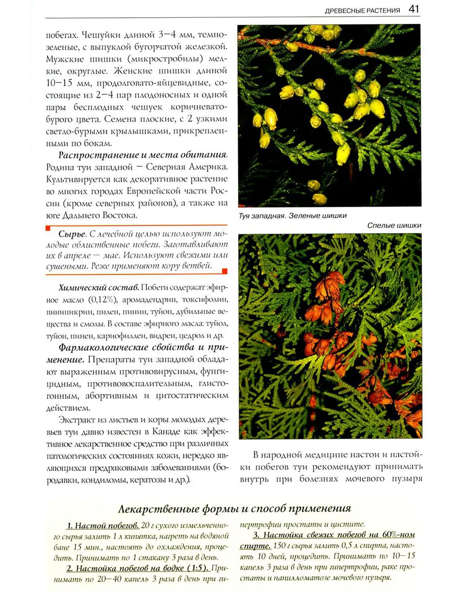 Лекарственные растения и грибы средней полосы России: По... Фитон XXI  191908422 купить за 2 463 ₽ в интернет-магазине Wildberries