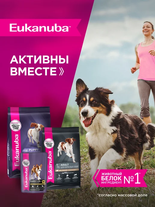 Сухой корм Eukanuba для собак, средние, щенки, 3 кг, фото 7
