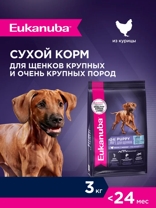 Сухой корм Eukanuba Птицей для собак, крупные, щенки, 3 кг