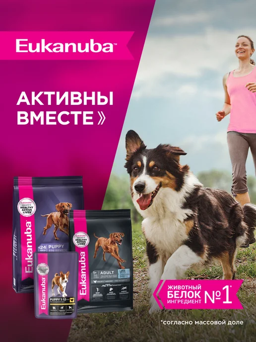Сухой корм Eukanuba Птицей для собак, крупные, щенки, 3 кг, фото 7