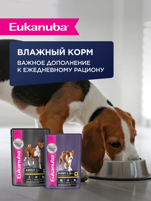 Сухой корм Eukanuba для собак, мелкие, щенки, 0,5 кг, фото 6