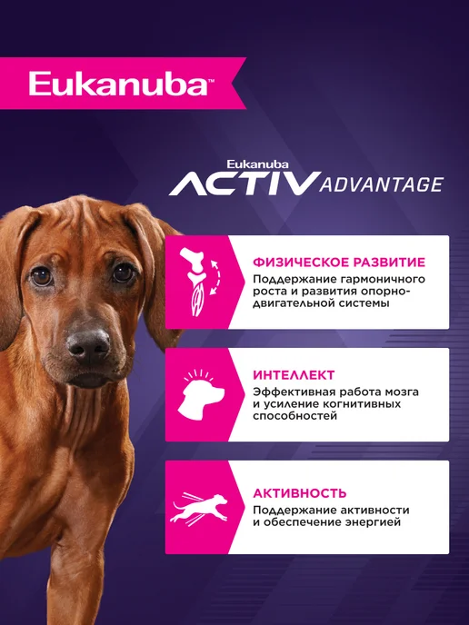 Сухой корм Eukanuba Птицей для собак, крупные, щенки, 15 кг, фото 2