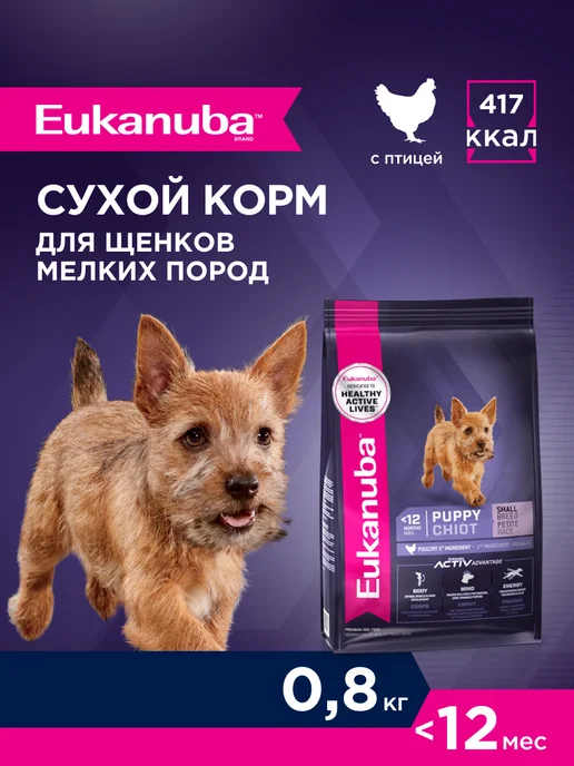 Сухой корм Eukanuba для собак, мелкие, щенки, 0,8 кг