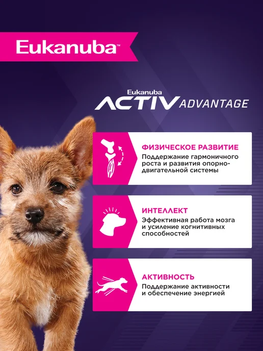 Сухой корм Eukanuba для собак, мелкие, щенки, 0,8 кг, фото 2