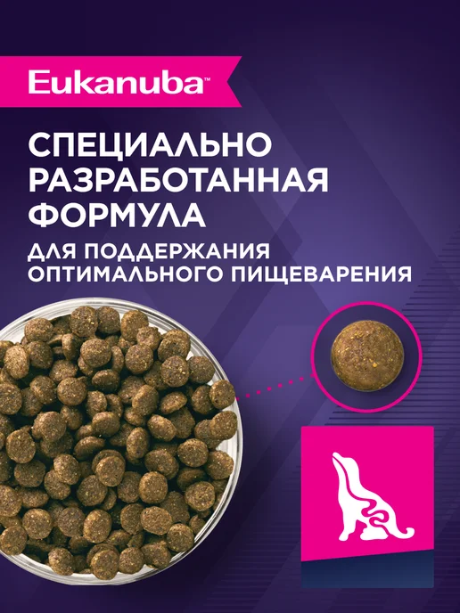 Сухой корм Eukanuba для собак, мелкие, щенки, 0,8 кг, фото 3