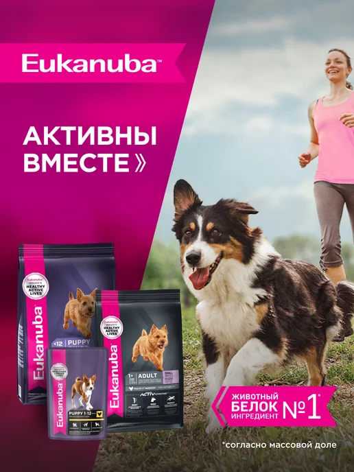 Сухой корм Eukanuba для собак, мелкие, щенки, 0,8 кг, фото 7