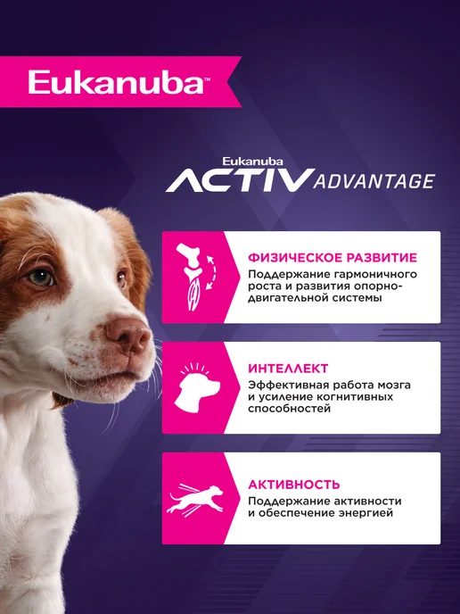 Сухой корм Eukanuba для собак, средние, щенки, 0,8 кг, фото 2